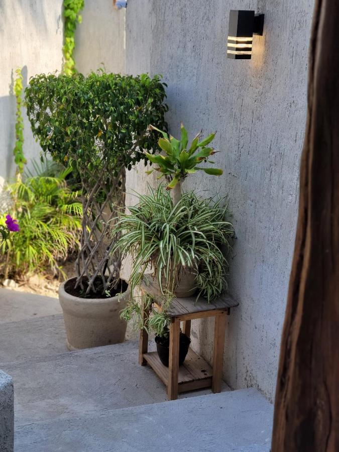 Puerto Del Cielo Hotel Chuburna Ngoại thất bức ảnh